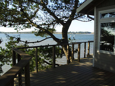 View from guest bedroom