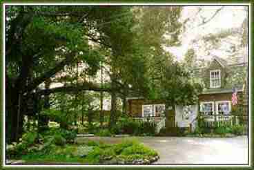 Main Log Home