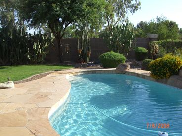 Backyard Beautiul !
