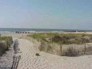 Beach View