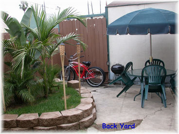 Back yard