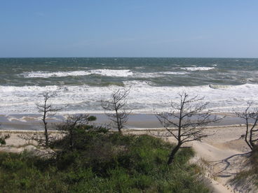 Ocean View