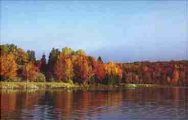 Autumn