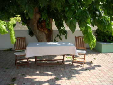 Enjoy your meal under the thick shade of the mulberry tree 