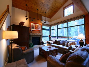 Vaulted Ceilings in living room