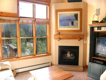 Cozy Fireplace in Living Area