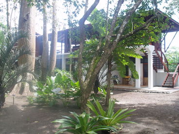 Beach House