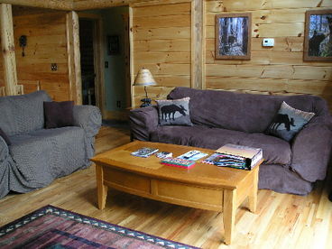 Seating to watch TV with pullout sofa-sleeper bed