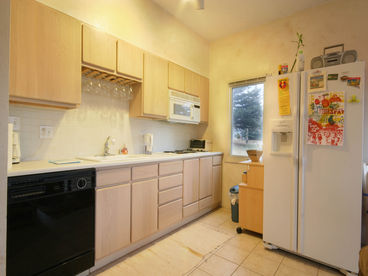 Fully equipped kitchen in Lake Haus