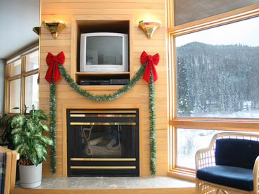 Fireplace and TV in Living Area
