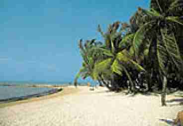 Captiva Beach