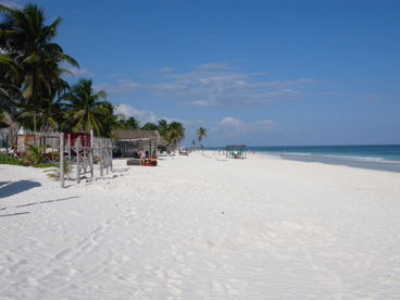 Beach front to the most beautiful beach in Tulum