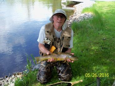 Log Cabin - Manistee River