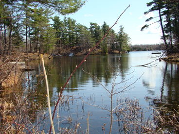 View from the shoreline in early spring looking out into a portion of Stafford Bay towards the swim platform and out to Cranberry Lake.