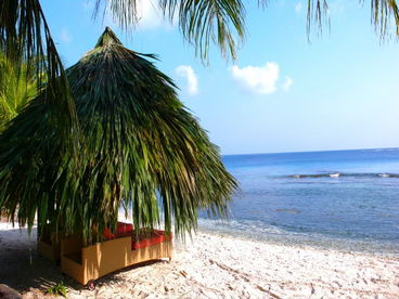 Pineapple House-Winner 2012 Top Vacation Rental Utila on Trip Advisor