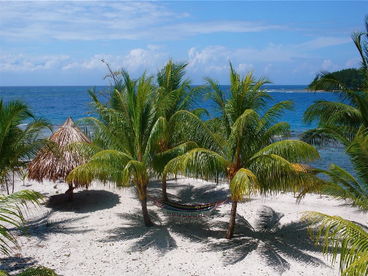 Pineapple House-Winner 2012 Top Vacation Rental Utila on Trip Advisor