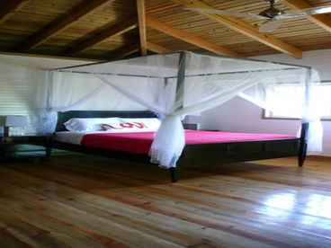 Pineapple House-Winner 2012 Top Vacation Rental Utila on Trip Advisor