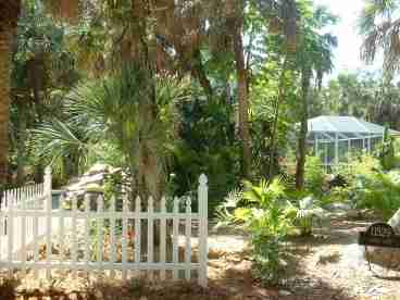 Lush Tropical Landscapting