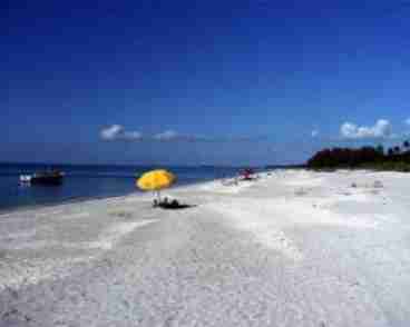 White Sandy Beach