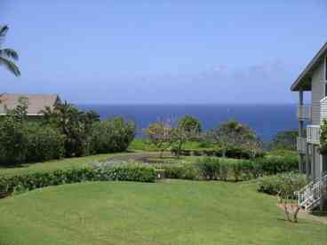 View from Living Room