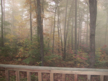 View from front porch in early morning.  Rock, see and hear the birds and animals.