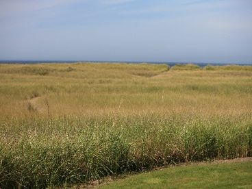 A pleasant walk from the patio across a level path through the dunes 300 feet to miles of sandy beach.