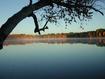 Soul Food Off the Dock in the Morning