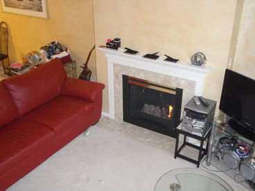 Living room- stereo, TV, laptop cables, gas fire place, queen sofa bed