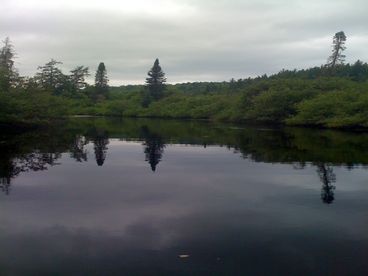 Quietly canoeing the Sturgeon River is a peaceful experience.