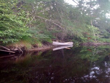 The Sturgeon River (about a 10 minute walk through the private 80 acre Tioga Falls property) is an ideal canoeing experience.