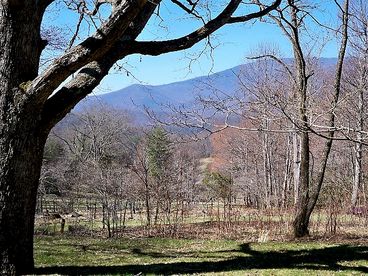 This pretty scene is looking down the valley and directly at Mt Mitchell, highest peak in the eastern US at over 6800\' elevation.