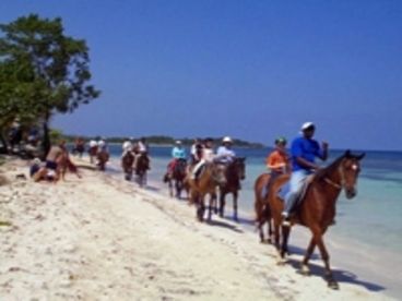 Horse Riding In Braco Trelawney