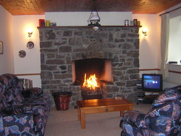 Living room with open fire