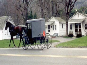 Country Vacation Cottages