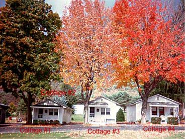 Country Vacation Cottages
