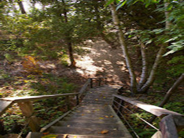 Hummingbird Cottage Bayfield/Grand Bend