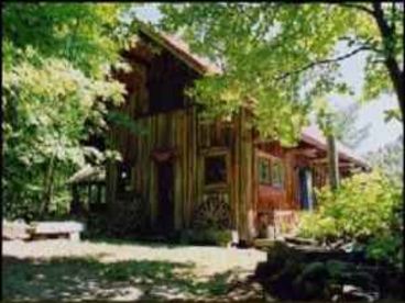 Horseshoe Valley Cabins