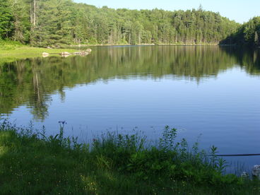 Horseshoe Valley Cabins