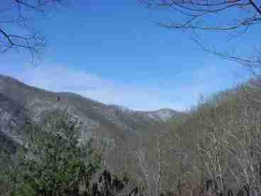 View From Front Deck