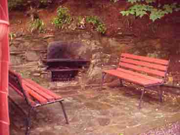 Fire Pit and Patio