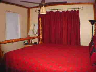 Bear Bedroom