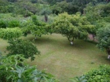 Ecological Farm Gulf of Nicoya Panoramic View 