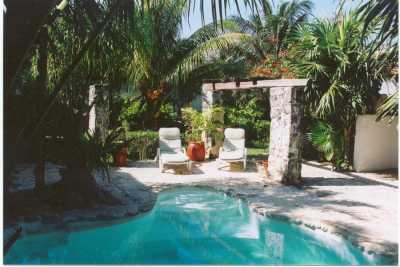 Casa Caribe Pool and garden