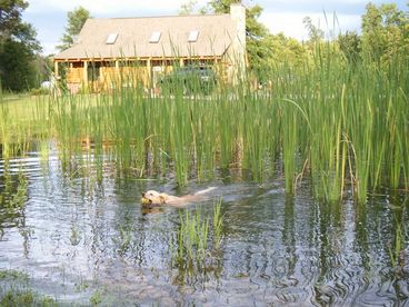 Little Pond Lodge
