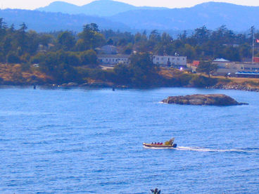 view of whale watchers setting out to sea