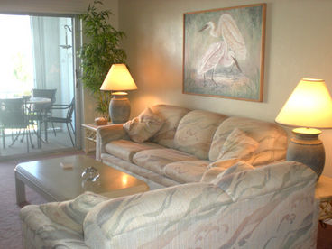 Living Room with Sleeper Sofa
