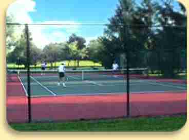 Tree Lined Paddle Tennis Court