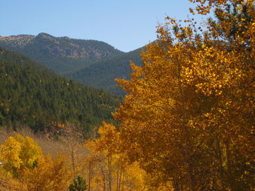 Colorado Vacation Cabin