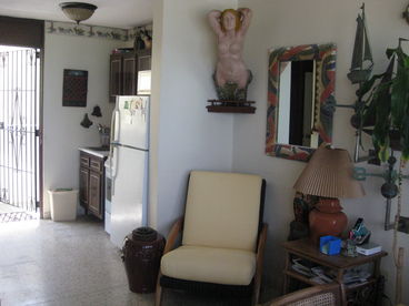 view of apartment w/ kitchenette in background