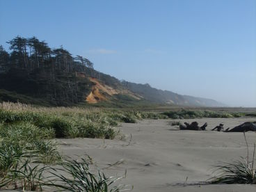 Beachfront Hideaway - Oceanfront Home